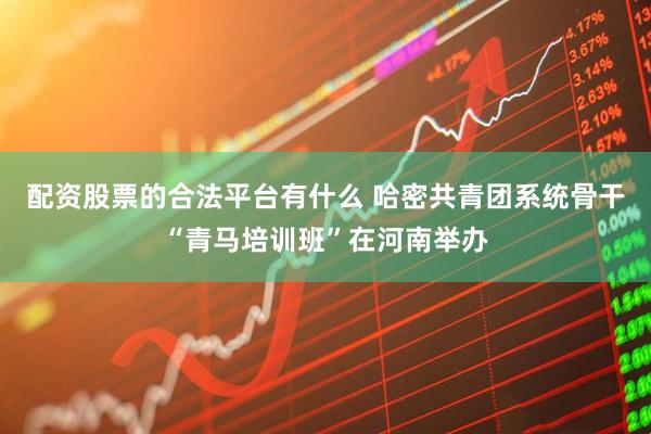 配资股票的合法平台有什么 哈密共青团系统骨干“青马培训班”在河南举办